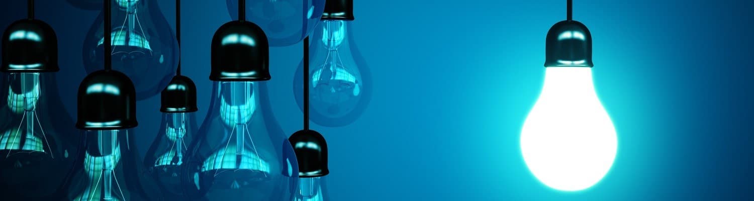 Délestage : quel rôle pour les CSE ?